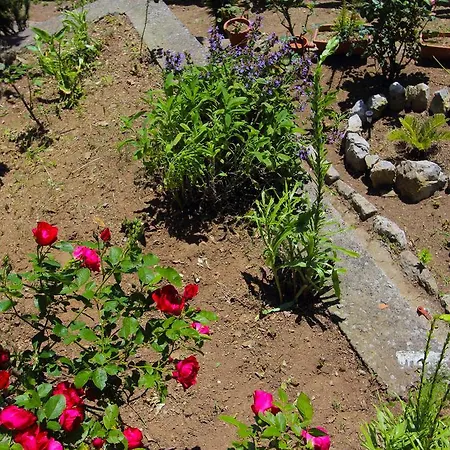 Matilde דירה אמאלפי